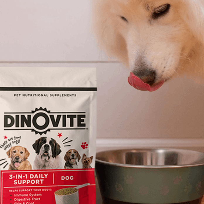  Dinovite For Dogs
